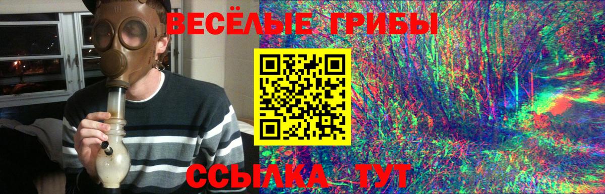 Галлюциногенные грибы Psilocybe Геленджик