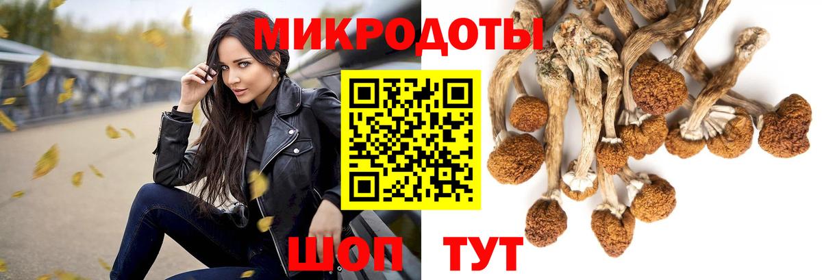 Геленджик  как найти наркотики  Вход с VPN  Псилоцибиновые грибы мицелий 